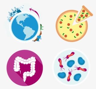 About Gemini - Latin American Social Sciences Institute