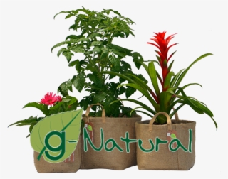 Eco Friendly Biodegradable Organic Fabric Gardening - Houseplant