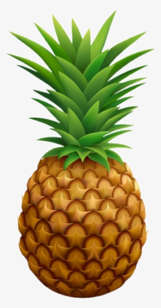 Pine Apple Png Vector
