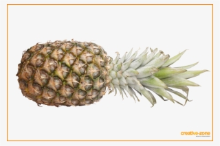 Pineapple, Without Background, Transparent - Pineapple With Transparent Background