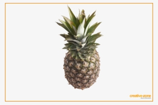 Pineapple Transparent - Pineapple