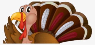 Thanksgiving Turkey Recipes - Turkey Vector