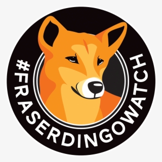 Fraser Island's Dingoes Are A Genetically Unique Species - Taxes Paid In Full