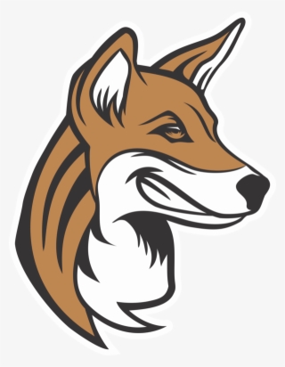 Why The Dingo - Red Fox