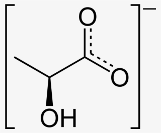 Lactate 2d Skeletal - 1 Methoxy 2 Butanol