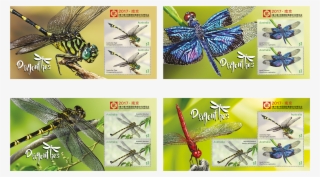 Set Of Four China International Collection Expo 2017 - Dragonfly