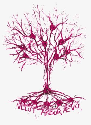 Getting The Neurons Firing - Illustration