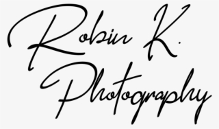 Robin Logo Png
