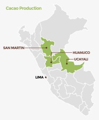 Organiccrops Cacao Production In Peru - Peru Silhouette