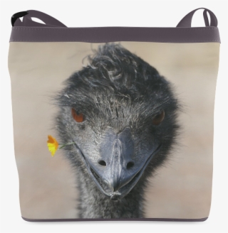 Emu