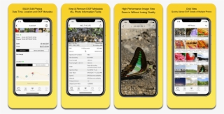 Photo App Sale - Iphone
