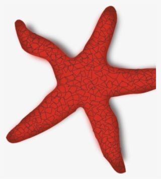 Starfish Clip Art