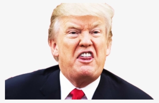 First He Came For The Mexicans, And I Did Not Speak - Stupid Trump Face