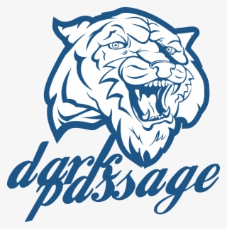 Dark Passage Esports Logo