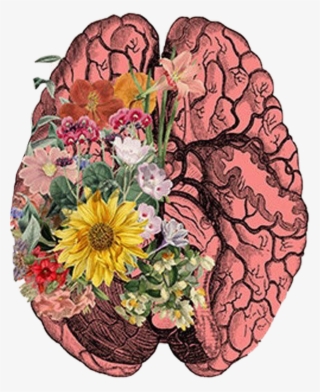 #brain #cerebro #art #flores #freetoedit - Brain And Flower Art