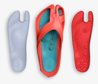 Slipper