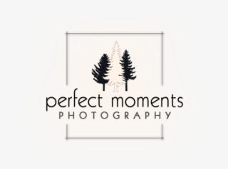 Cropped Pmwstall 1 - Araucaria