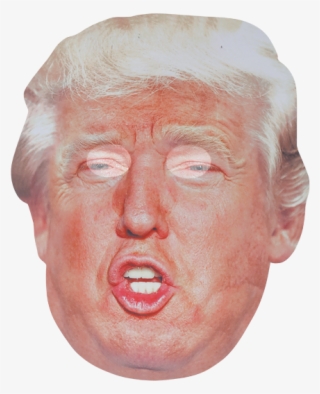 Bobble Hedz Trump Mask - Sketch