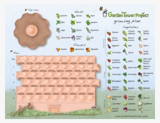 Set Up And Planting Instructions Australia - Garden Tower 2 Growing Plan