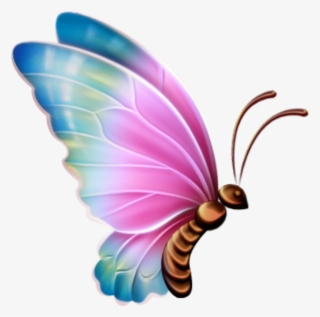 Borboletas Borboleta Bonita Colorida 11 Png - Butterfly Clipart Transparent Background