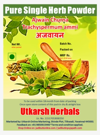 अजवान Trachyspermum Ammi - Poster