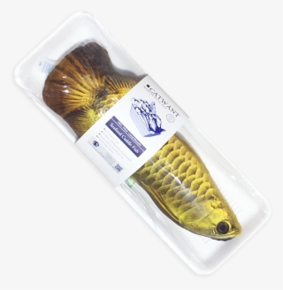 Best Online Pet Store Singapore - Sardine