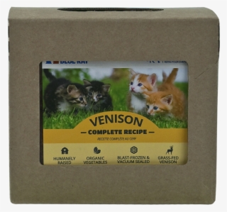 Vencat14 - Swift Fox