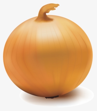 Yellow Onion
