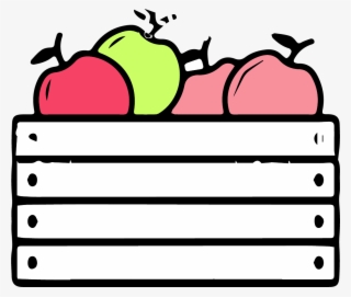 Box Sizes