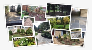 Collage - Yard
