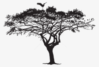 Free Png Exotic Tree And Bird Silhouette Png - Tree Silhouette Png