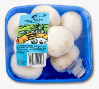 New Zealand Mushroom - Champignon Mushroom