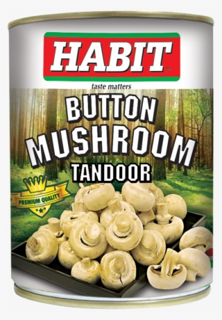 Habitbutton Mushroom Tandoor - Momo
