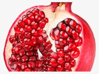 18 Pomegranate Clipart Single Free Clip Art Stock Illustrations - Pomegranate Fruit