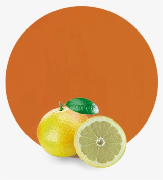 Grapefruit Essential Oil - Rangpur