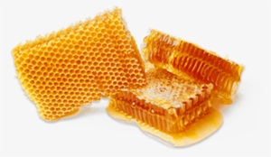 Honeycomb - Barcelona