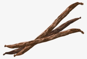 Vanilla Bean Clipart - Vanilla Bean Png