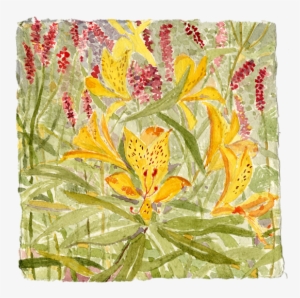 Watercolor, Gouache & Pastel - Placemat