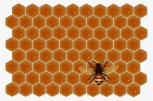 Bee - พื้น หลัง น้ำผึ้ง Png