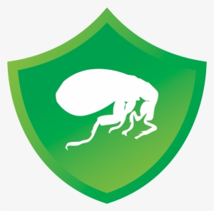 Kills Fleas Fast Before They Lay Eggs Keeping Dogs - Dog