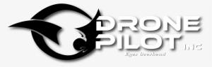 Drone Pilot, Inc - Drone Pilot Logo