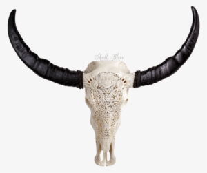 Carved Buffalo Skull - Skull
