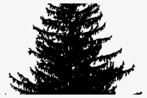 Png Pine Tree Line K Pictures Full Hq - Pine Tree Silhouette Free