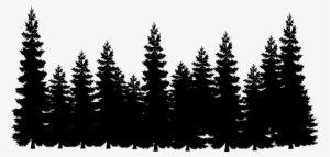 Report Abuse - Black And White Forest Clipart