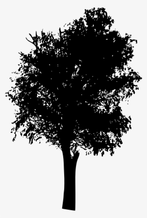 Image Transparent Library Silhouettes Png Background - Ecology Tree