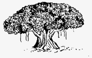 Indian Election Symbol Tree - Samajwadi Janata Party Symbol
