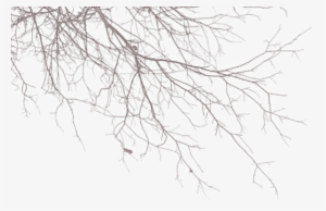 Wg-22 - Portable Network Graphics