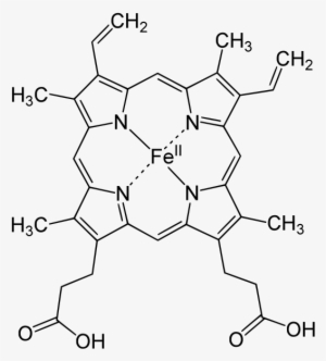 Heme Structure - Heme B