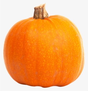 Real Pumpkin File Mart Freeuse - Pumpkin