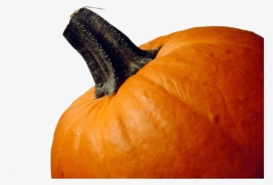 Pumpkin-149 - Happy Thanksgiving To Our Clients